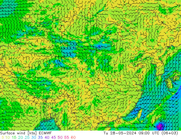 ветер 10 m ECMWF вт 28.05.2024 09 UTC