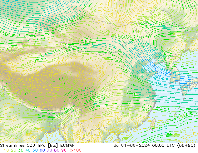 Streamlines 500 hPa ECMWF So 01.06.2024 00 UTC