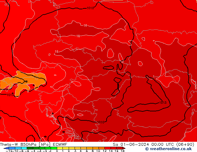 Theta-W 850гПа ECMWF сб 01.06.2024 00 UTC