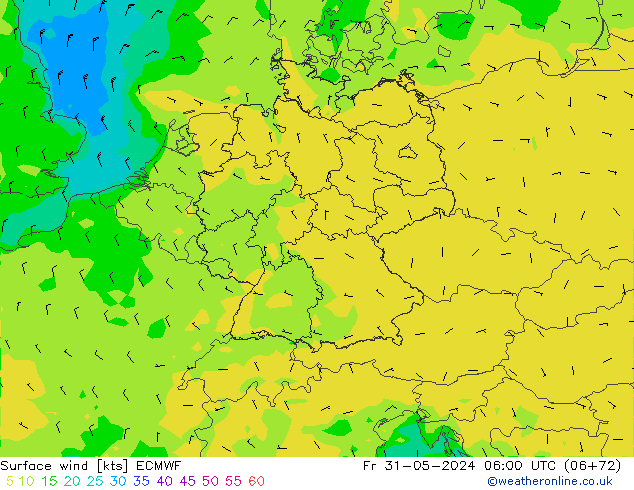  10 m ECMWF  31.05.2024 06 UTC