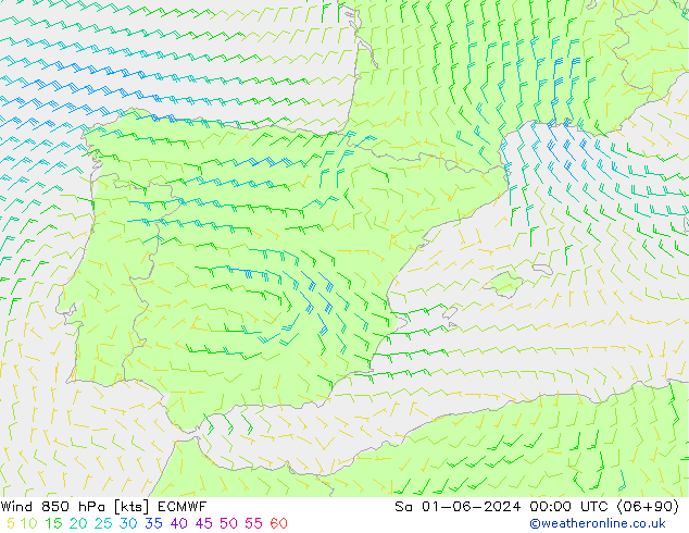 Wind 850 hPa ECMWF So 01.06.2024 00 UTC