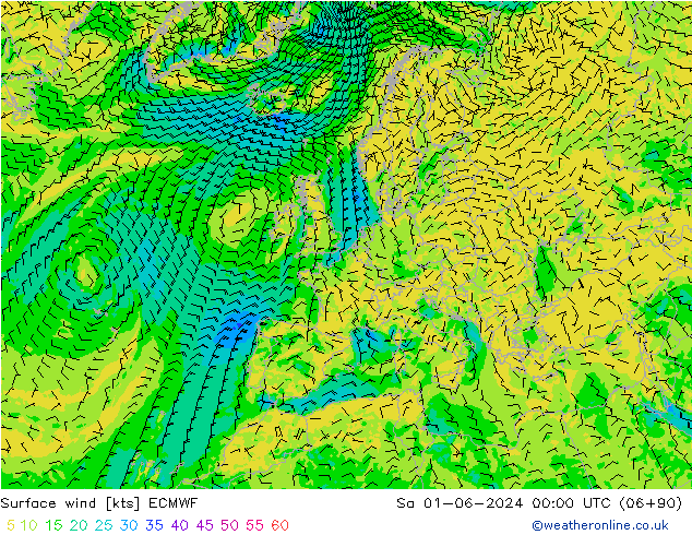 Surface wind ECMWF Sa 01.06.2024 00 UTC