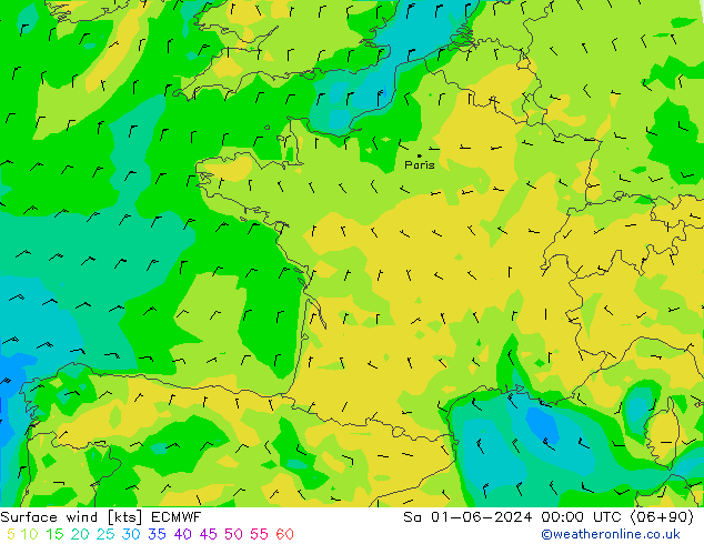 Vent 10 m ECMWF sam 01.06.2024 00 UTC