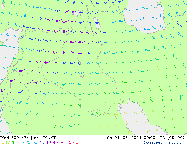 Wind 500 hPa ECMWF So 01.06.2024 00 UTC