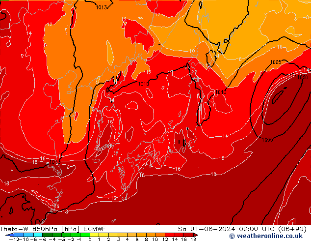 Theta-W 850hPa ECMWF Sa 01.06.2024 00 UTC