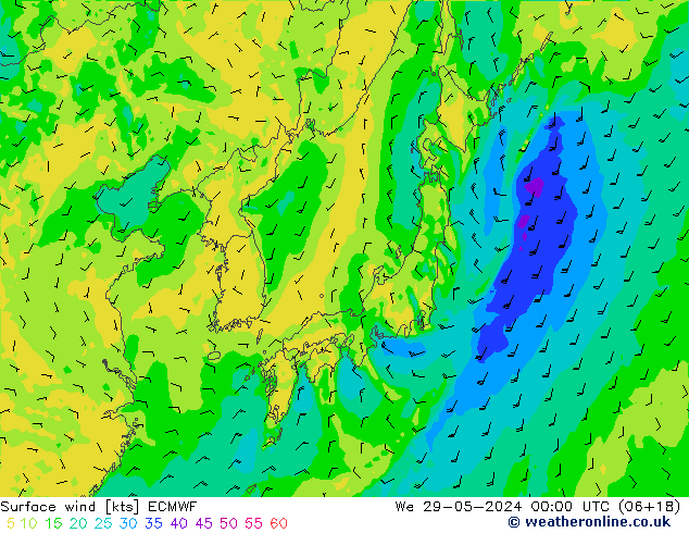 Surface wind ECMWF We 29.05.2024 00 UTC