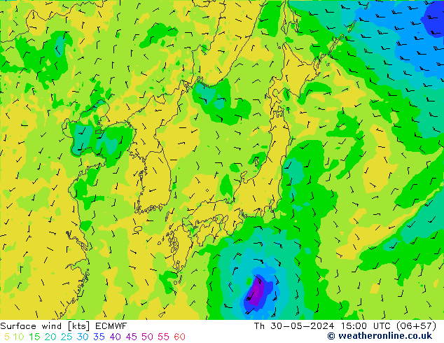 Bodenwind ECMWF Do 30.05.2024 15 UTC