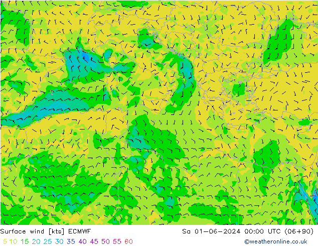 Vento 10 m ECMWF Sáb 01.06.2024 00 UTC