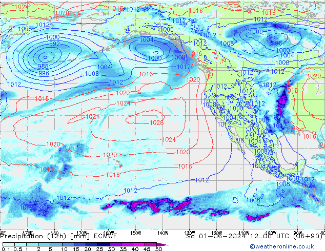 Yağış (12h) ECMWF Cts 01.06.2024 00 UTC