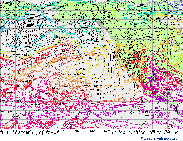 Theta-e 850hPa ECMWF Sa 01.06.2024 00 UTC