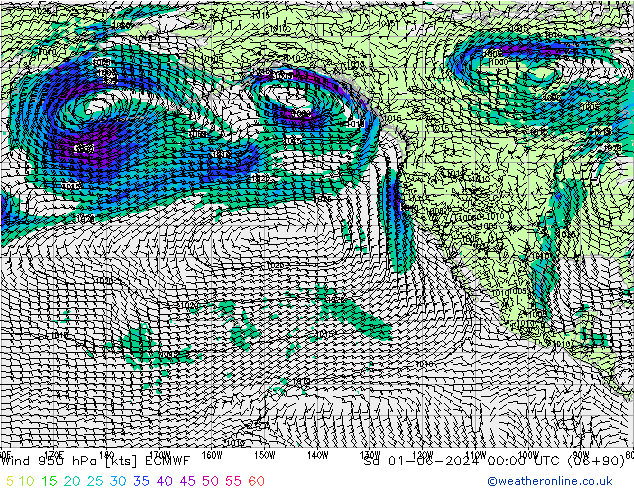 ветер 950 гПа ECMWF сб 01.06.2024 00 UTC