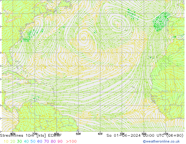 Rüzgar 10m ECMWF Cts 01.06.2024 00 UTC