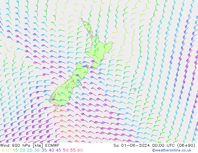 Wind 900 hPa ECMWF Sa 01.06.2024 00 UTC