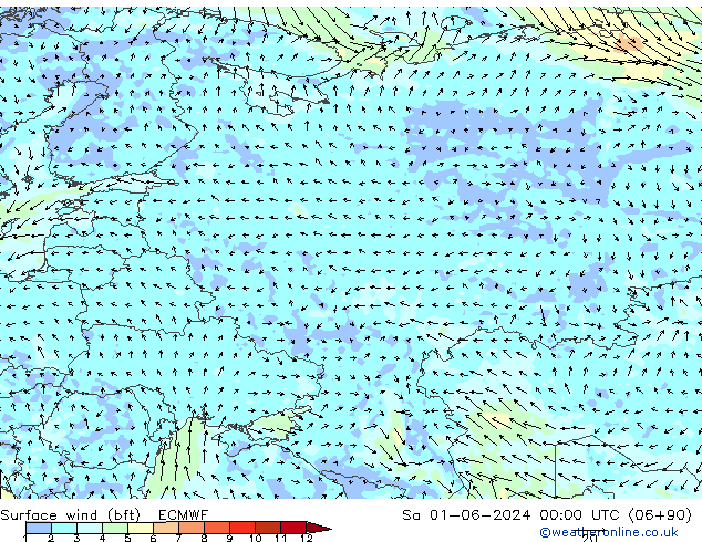 Vent 10 m (bft) ECMWF sam 01.06.2024 00 UTC