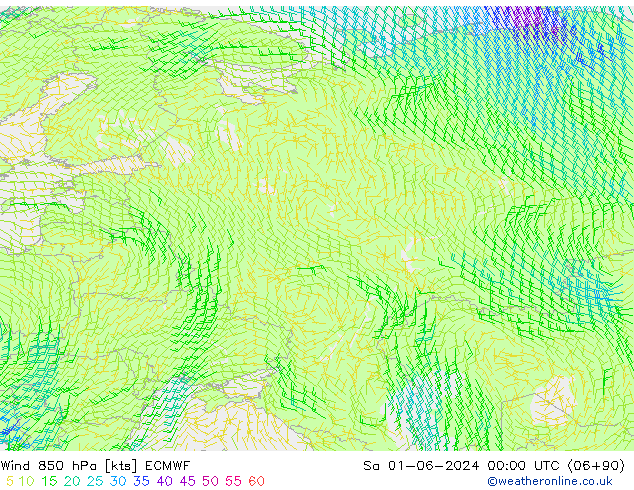 Wind 850 hPa ECMWF za 01.06.2024 00 UTC