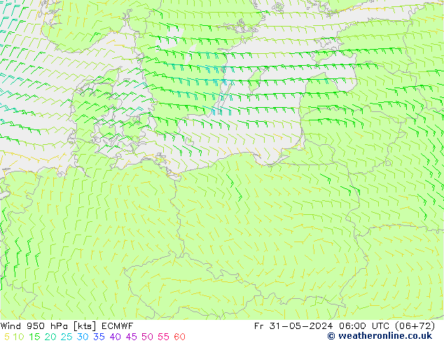 Wind 950 hPa ECMWF Pá 31.05.2024 06 UTC