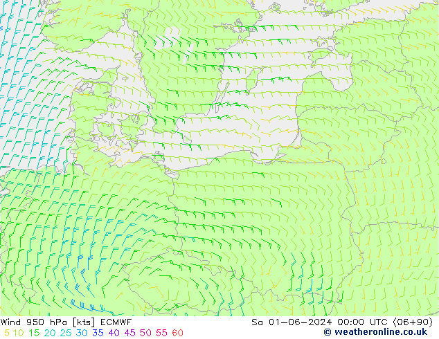 ветер 950 гПа ECMWF сб 01.06.2024 00 UTC