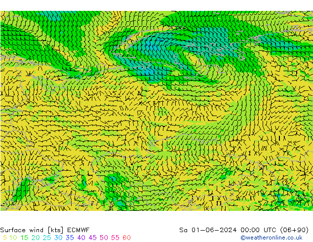 Viento 10 m ECMWF sáb 01.06.2024 00 UTC