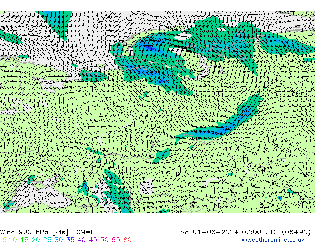 Vent 900 hPa ECMWF sam 01.06.2024 00 UTC