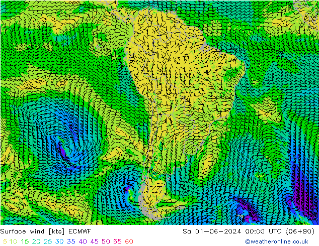  10 m ECMWF  01.06.2024 00 UTC