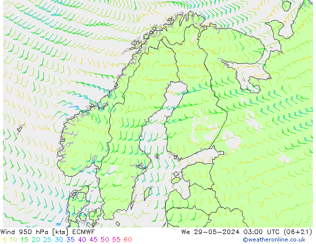 ветер 950 гПа ECMWF ср 29.05.2024 03 UTC