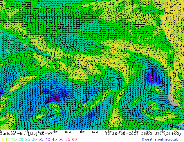 Surface wind ECMWF Tu 28.05.2024 06 UTC