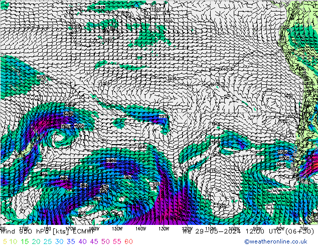 Rüzgar 950 hPa ECMWF Çar 29.05.2024 12 UTC