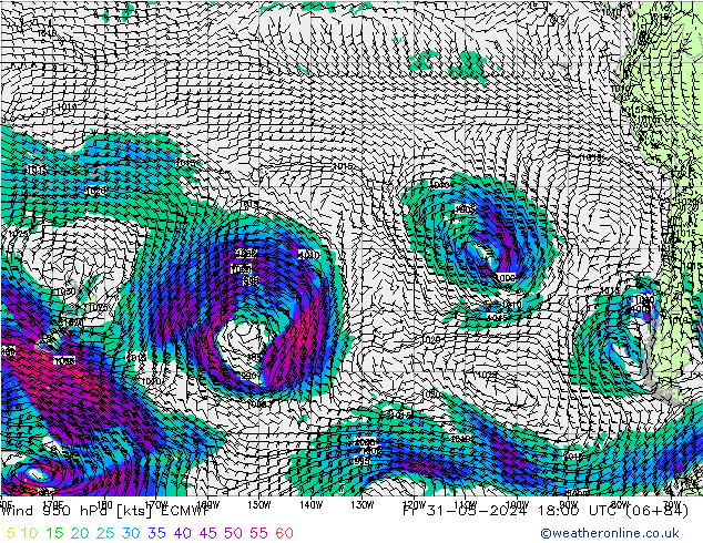 Rüzgar 950 hPa ECMWF Cu 31.05.2024 18 UTC