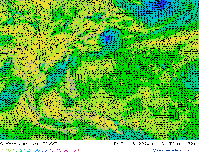 Surface wind ECMWF Fr 31.05.2024 06 UTC