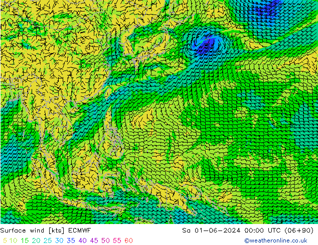 Surface wind ECMWF Sa 01.06.2024 00 UTC