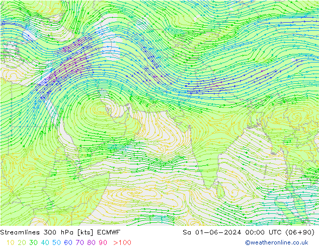 Stroomlijn 300 hPa ECMWF za 01.06.2024 00 UTC