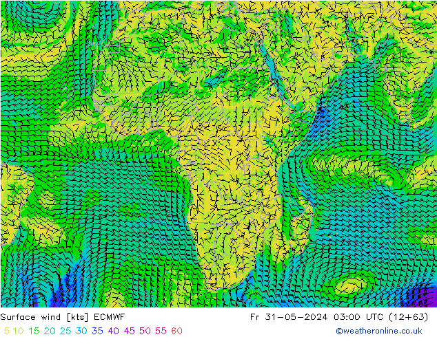 Vent 10 m ECMWF ven 31.05.2024 03 UTC