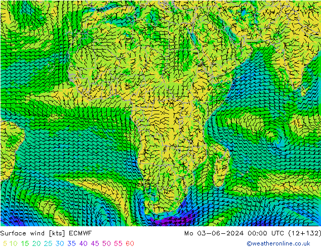 Prec 6h/Wind 10m/950 ECMWF Mo 03.06.2024 00 UTC