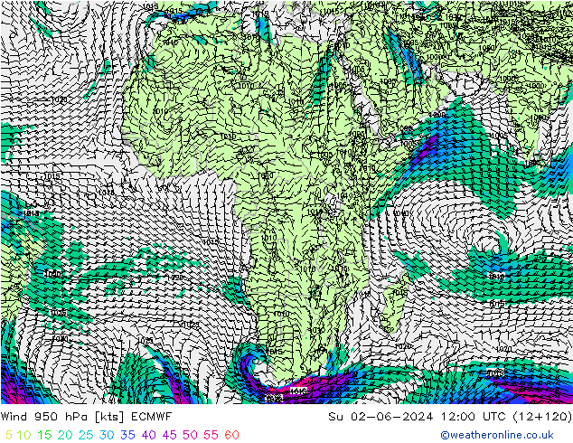 Rüzgar 950 hPa ECMWF Paz 02.06.2024 12 UTC