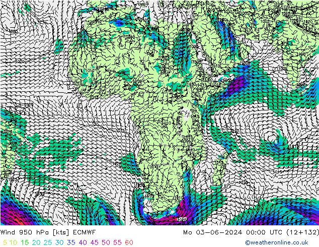 Prec 6h/Wind 10m/950 ECMWF Mo 03.06.2024 00 UTC