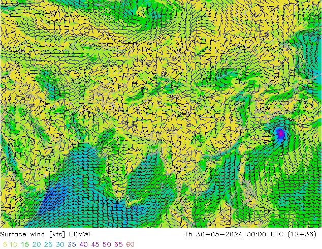 ветер 10 m ECMWF чт 30.05.2024 00 UTC