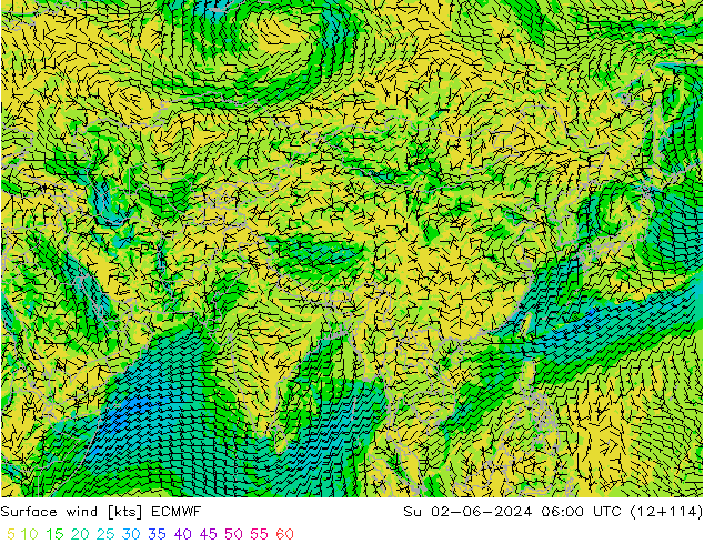 Surface wind ECMWF Su 02.06.2024 06 UTC