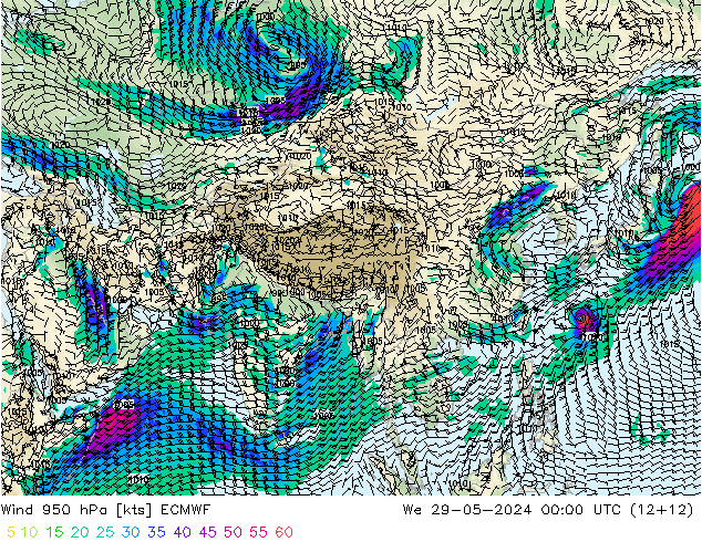 wiatr 950 hPa ECMWF śro. 29.05.2024 00 UTC