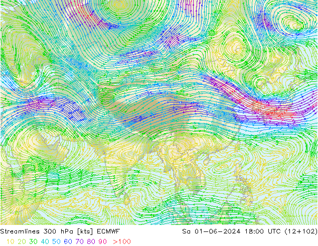 Streamlines 300 hPa ECMWF Sa 01.06.2024 18 UTC