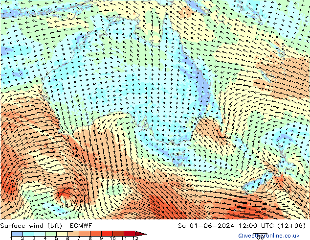 Surface wind (bft) ECMWF Sa 01.06.2024 12 UTC