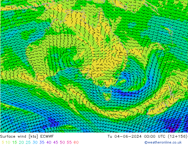 Surface wind ECMWF Tu 04.06.2024 00 UTC
