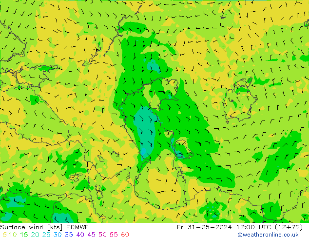 Surface wind ECMWF Fr 31.05.2024 12 UTC