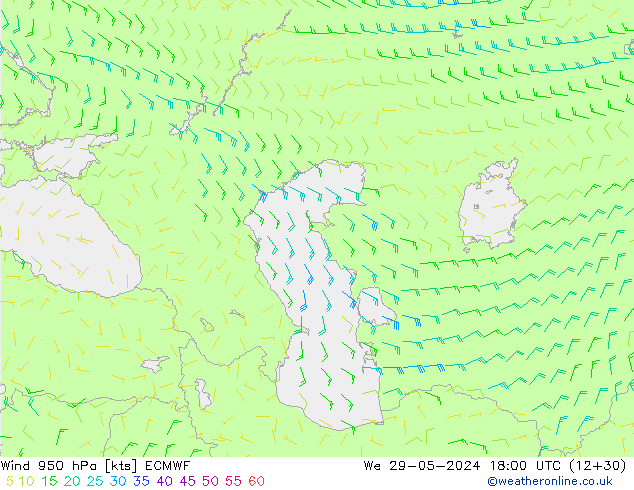 wiatr 950 hPa ECMWF śro. 29.05.2024 18 UTC