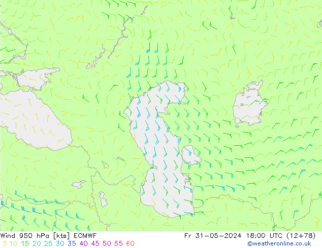 Vento 950 hPa ECMWF Sex 31.05.2024 18 UTC