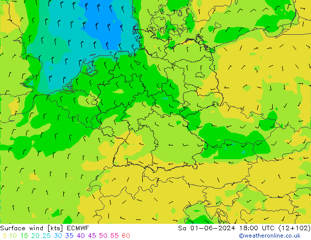 风 10 米 ECMWF 星期六 01.06.2024 18 UTC