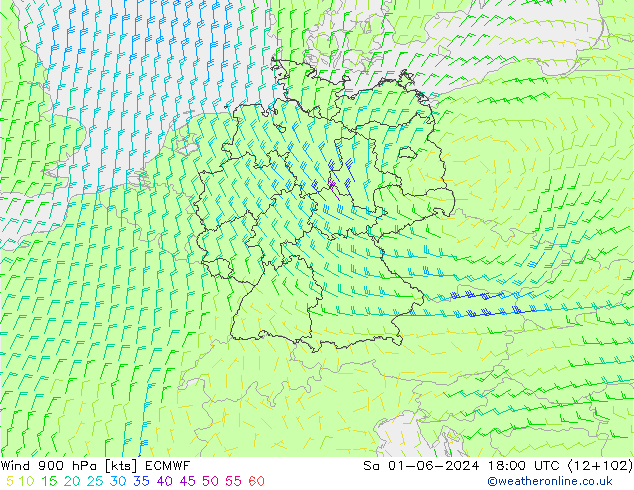 Wind 900 hPa ECMWF Sa 01.06.2024 18 UTC