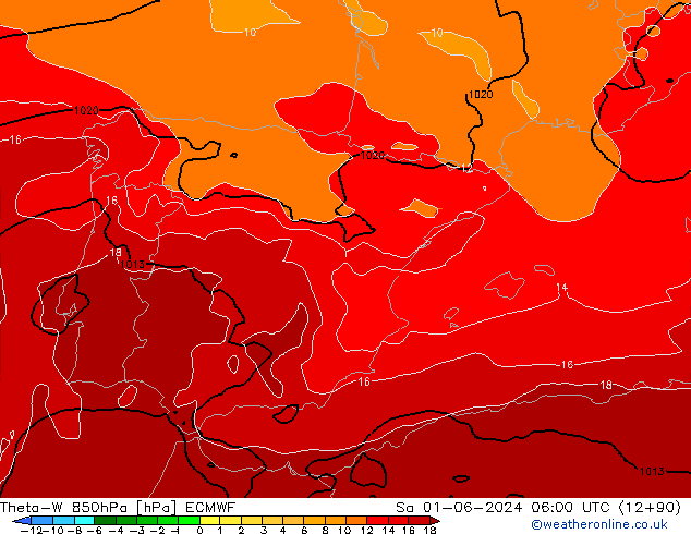 Theta-W 850hPa ECMWF so. 01.06.2024 06 UTC