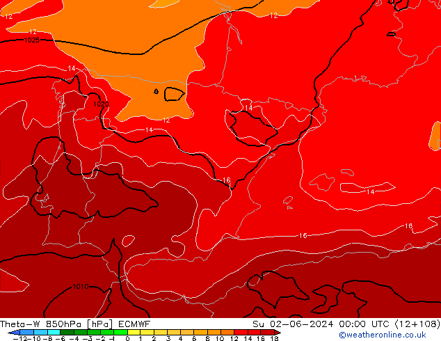 Theta-W 850hPa ECMWF Dom 02.06.2024 00 UTC