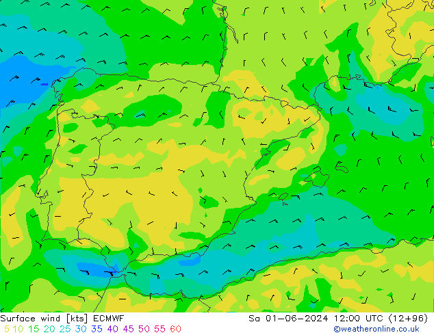 Surface wind ECMWF So 01.06.2024 12 UTC