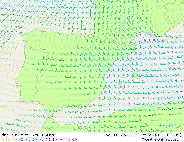 wiatr 700 hPa ECMWF so. 01.06.2024 06 UTC